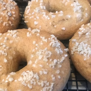 SALTED BAGEL